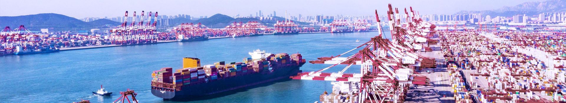 起重鉗產品視頻,起重鉗工廠圖片-辰力集團